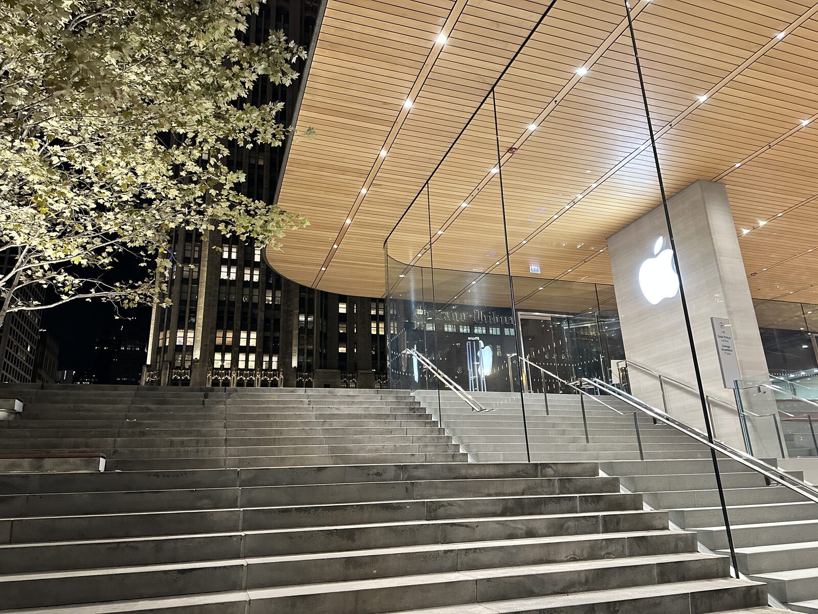 The stone steps down to the river at night, under the carbon-fibre roof.
