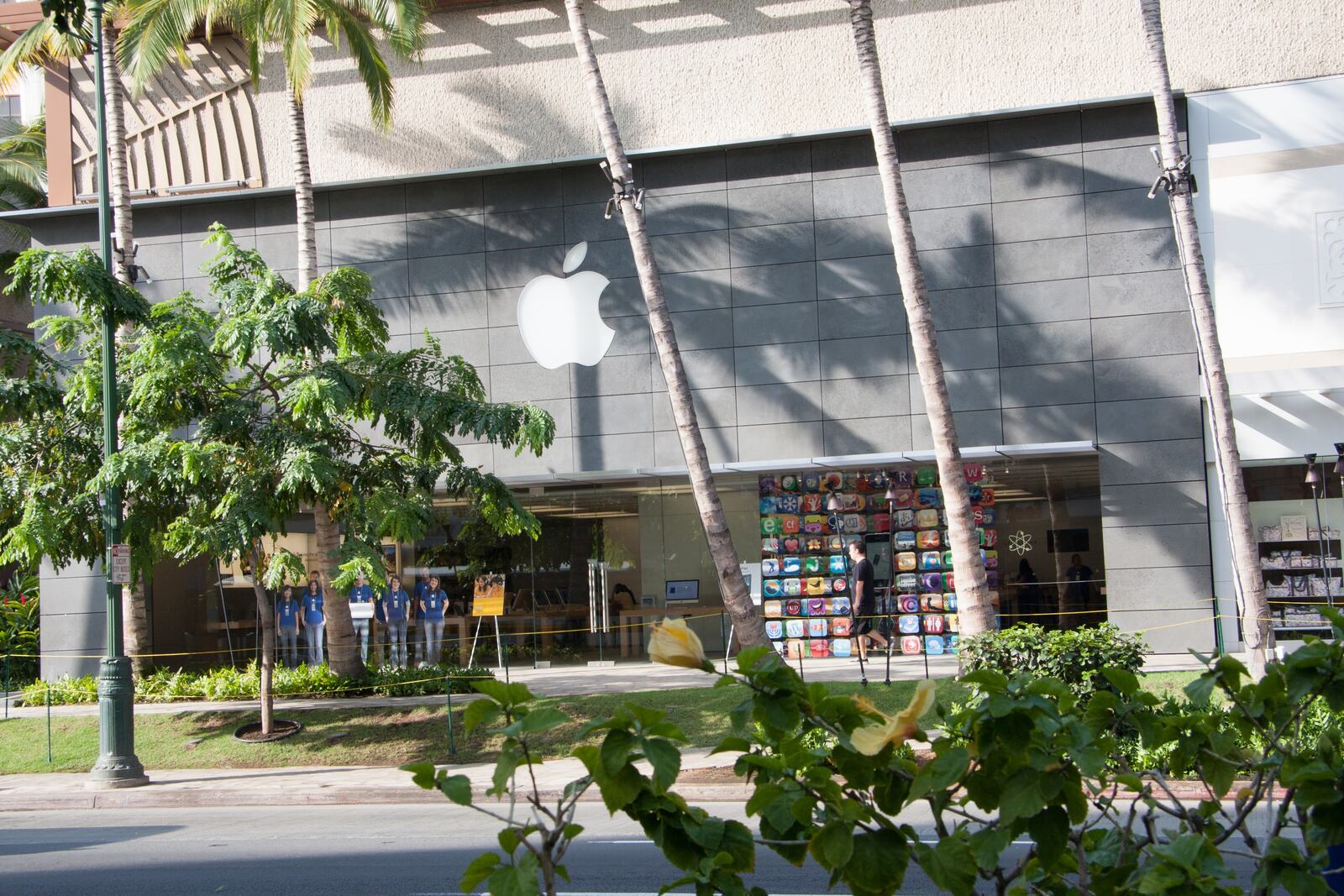 The storefront framed by palms, app icons glowing in the windows.