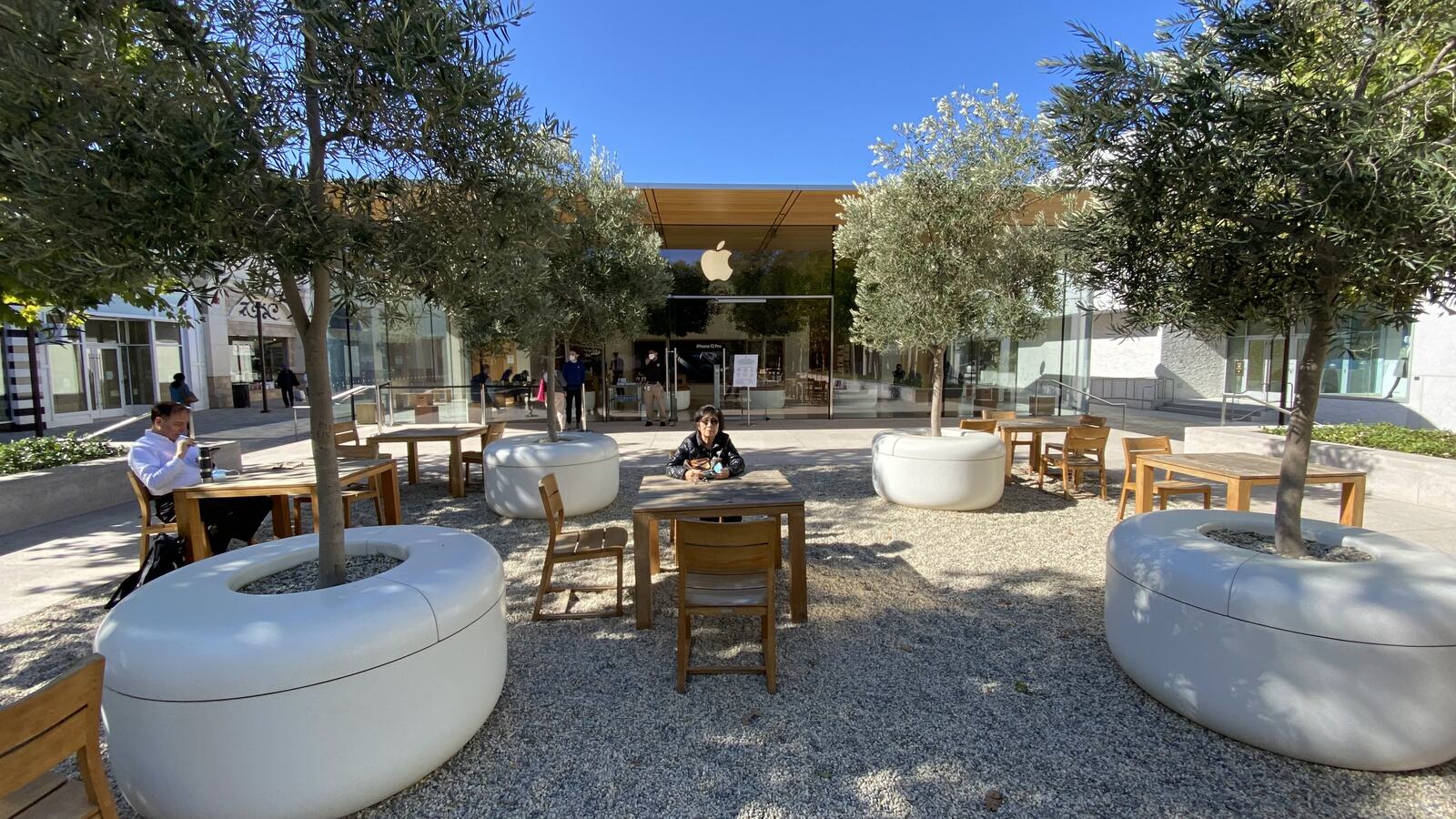 The pavilion and its olive trees on a bright Irvine afternoon.