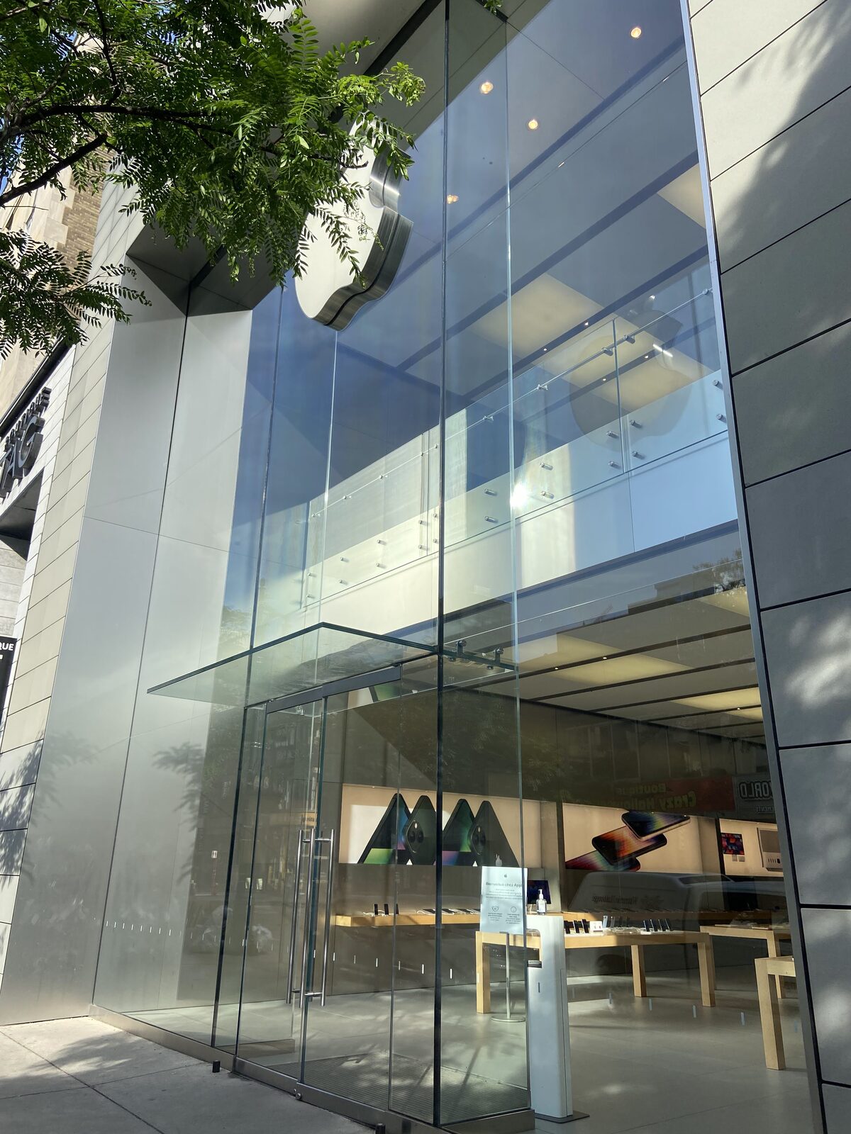 The glass facade with a street tree out front, 2022.